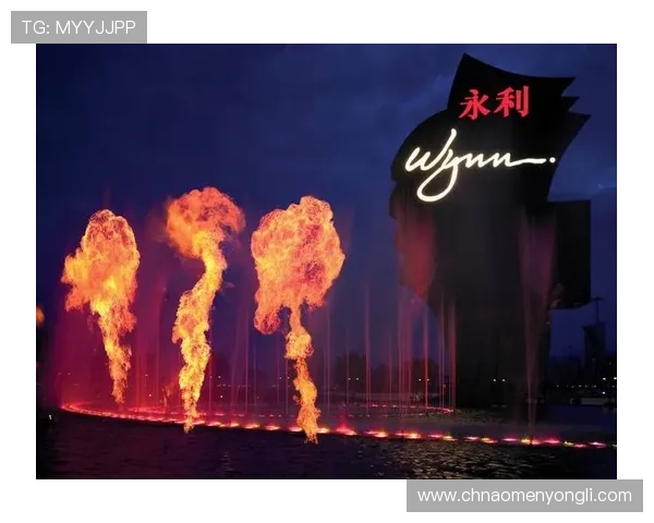 永利澳门游戏网址官方入口地址，便捷快速登录享受高品质博彩娱乐