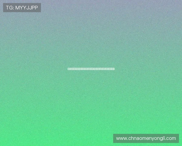 新濠国际赌场安全保障措施:保障玩家资金与个人信息安全的关键策略 新濠国际赌场安全保障措施:保障玩家资金与个人信息安全的关键策略