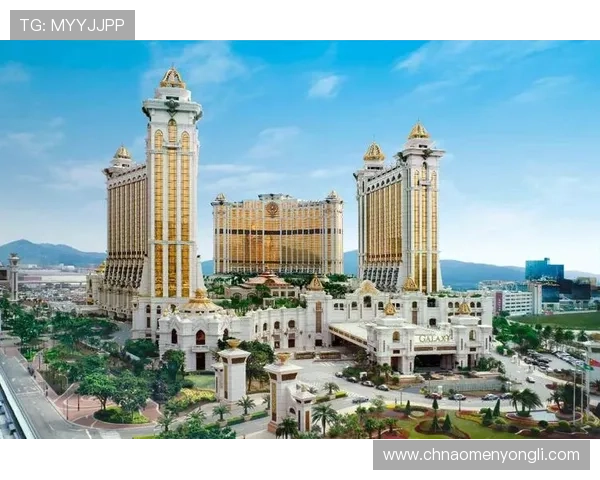 澳门博彩控股有限公司如何应对行业监管变化与政策调整的挑战