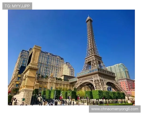 澳门巴黎人官网登录入口稳定性分析及优化建议确保顺畅体验