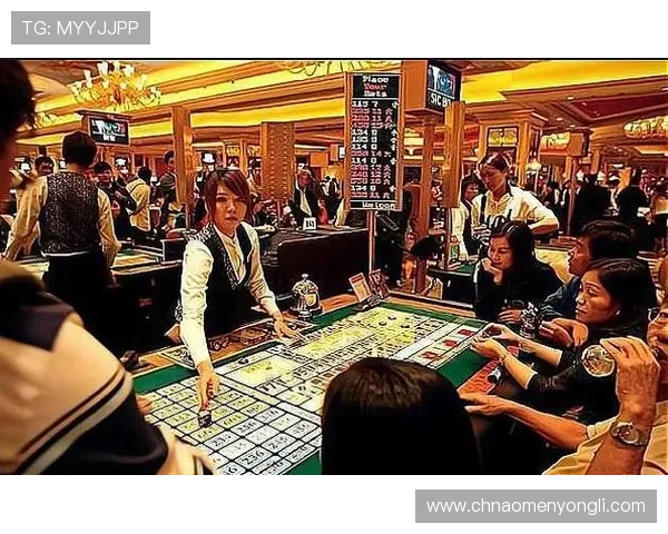 澳门所有合法经营的赌场数量及其分布情况全面解析