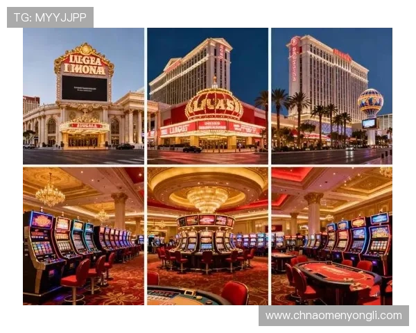 澳门永利集团在博彩娱乐行业中的领先地位与未来发展前景分析